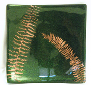 copper fern